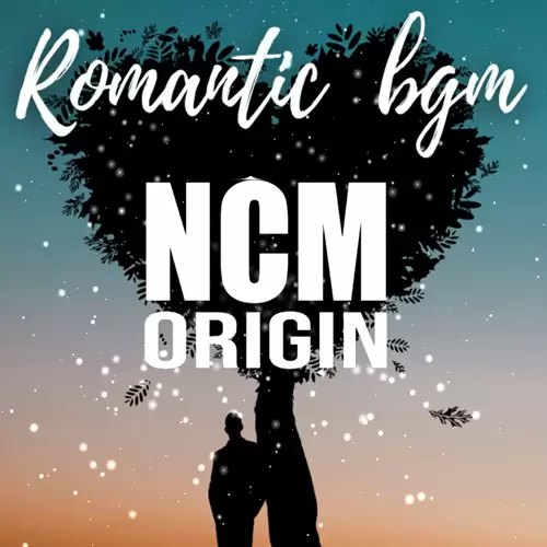 4 ROMANTIC COVER